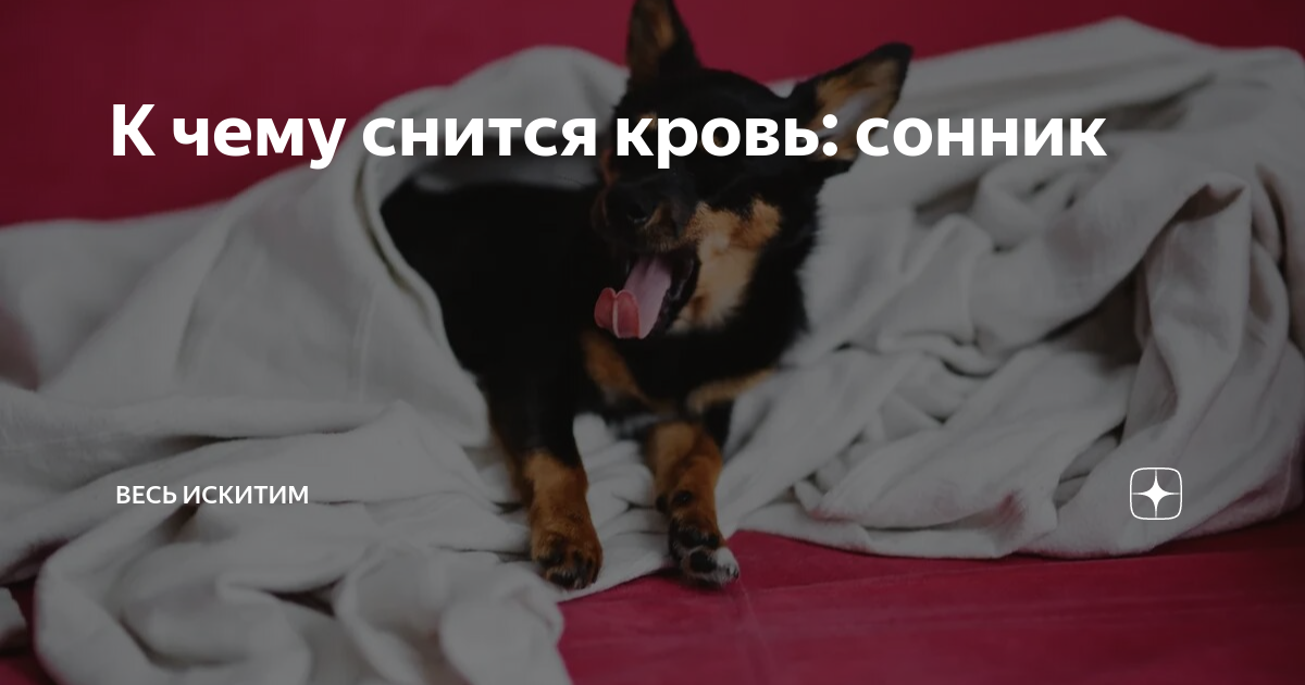 Толкование различных аспектов
