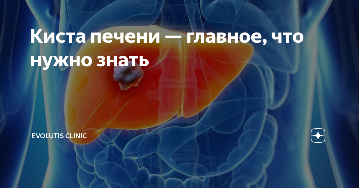 Секрет печени