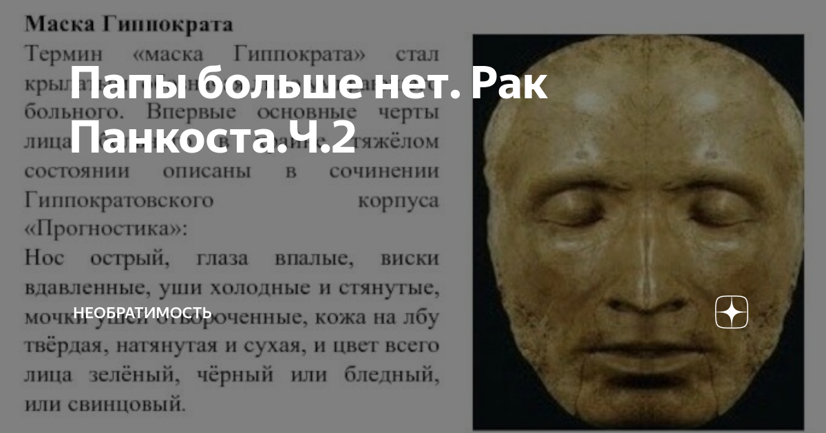 Папы больше нет. Рак Панкоста.Ч.2 | Irreversibility | Дзен