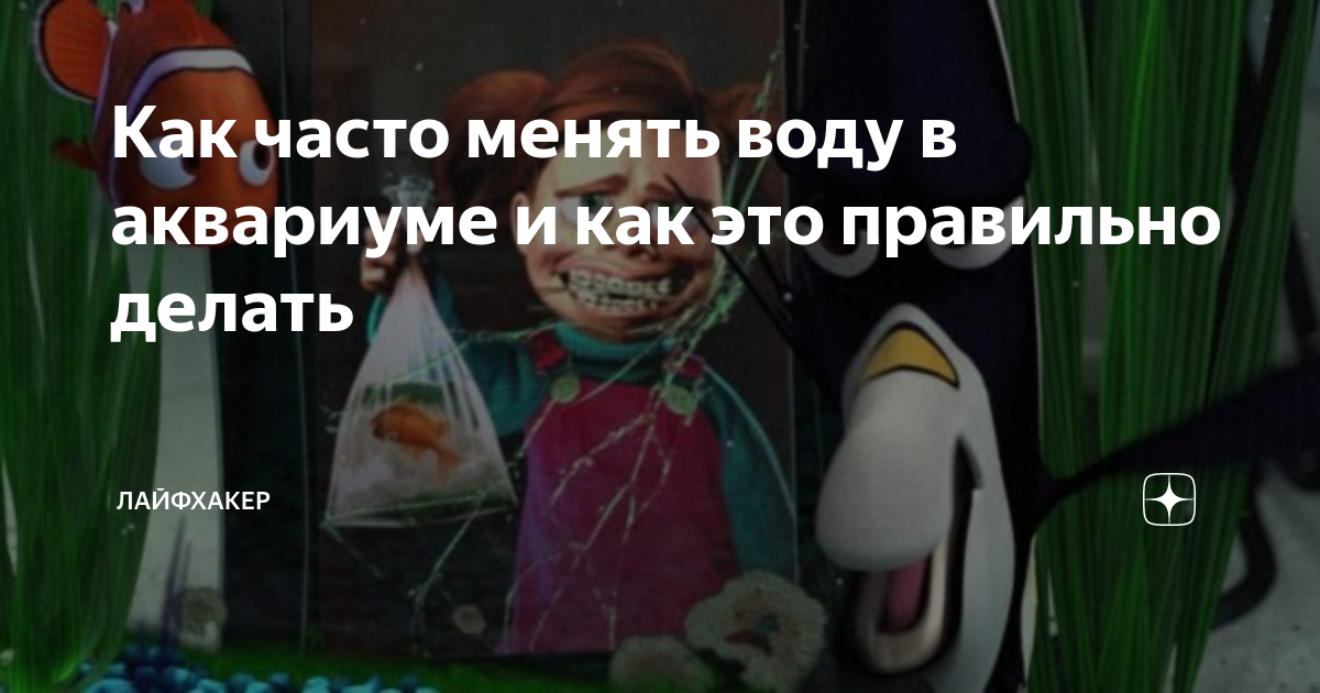 как часто менять воду в аквариуме без фильтра