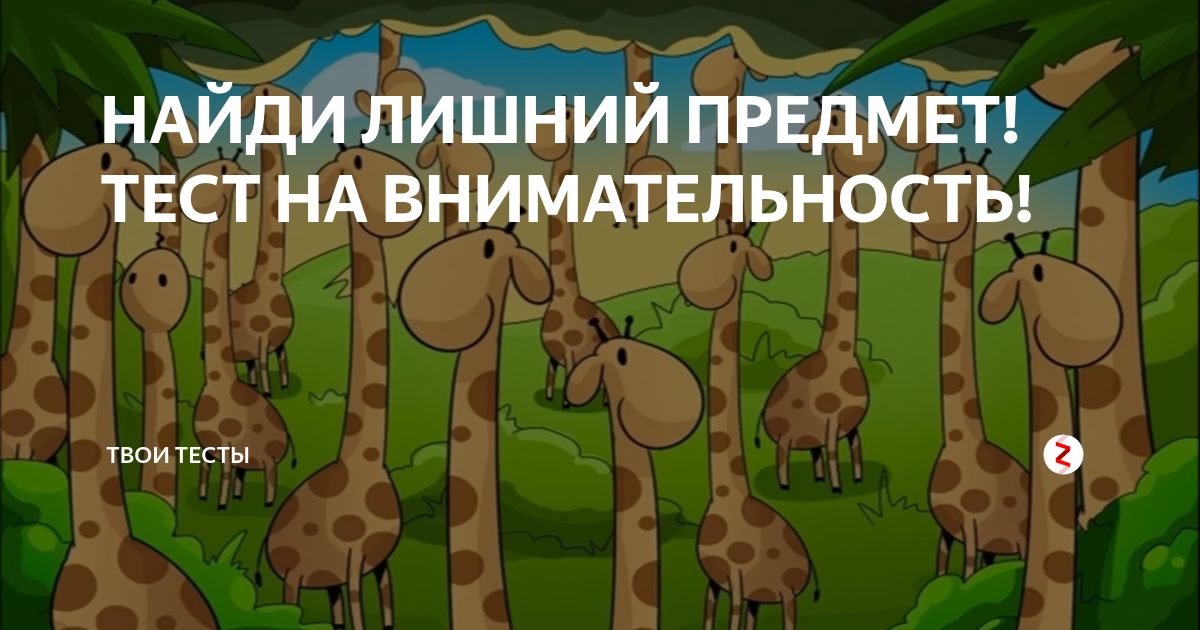 Тест твое место. Найди лишний предмет тест на внимательность. Тест на внимательность картинка с природой. Тест твой вектор.