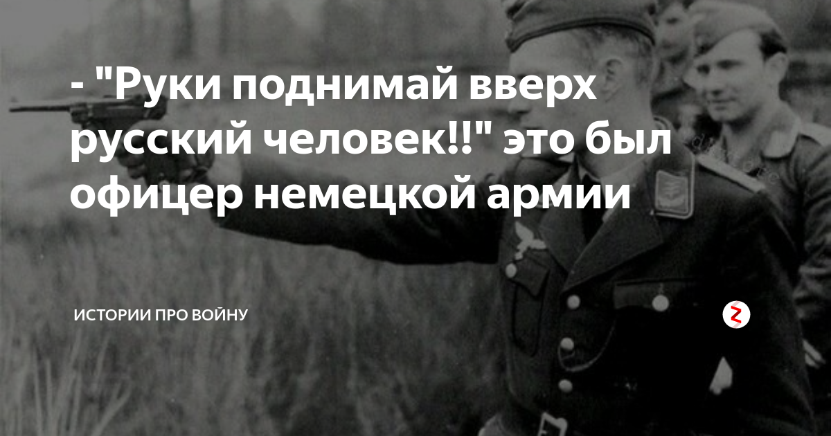 контракт на войну дзен последние рассказы