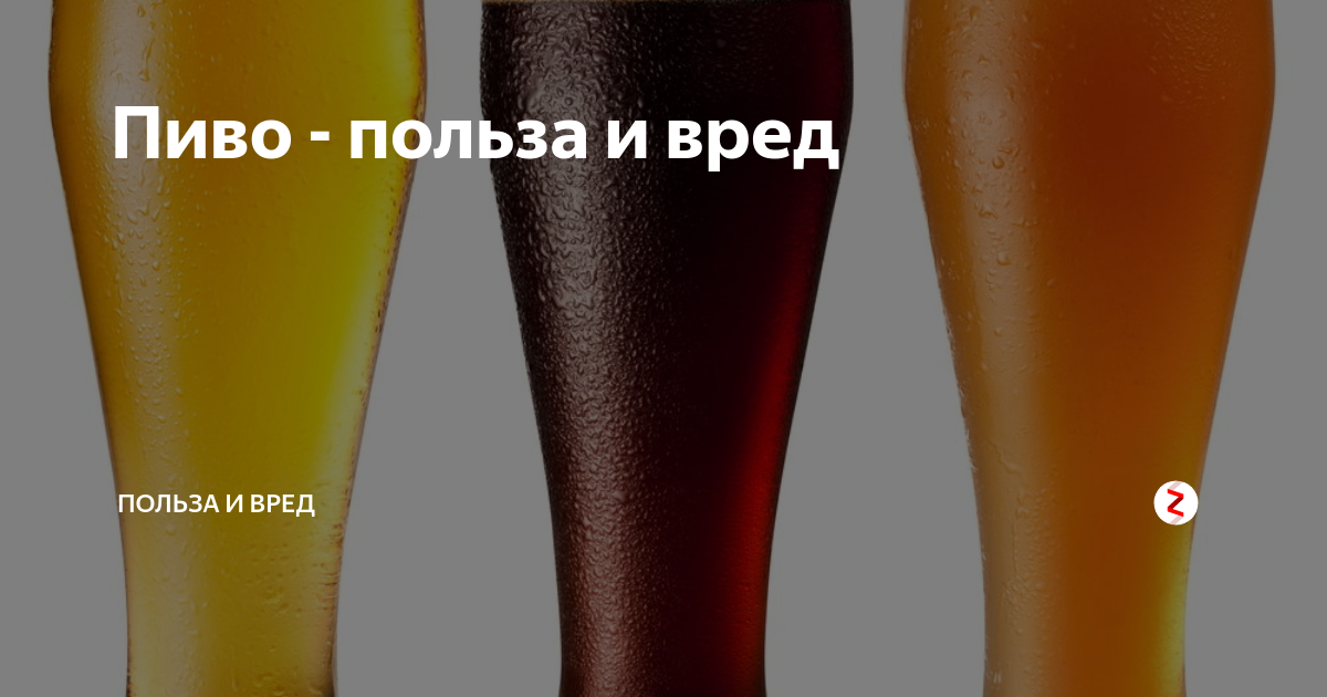 Вред пива: что говорят эксперты Eat This, Not That!