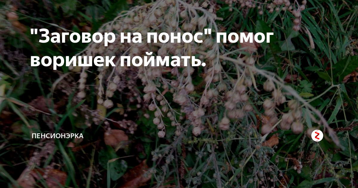 Как сделать порчу на понос. Заговор на понос. Заклинание от поноса. Заговор от диареи. Заклинание на диарею.