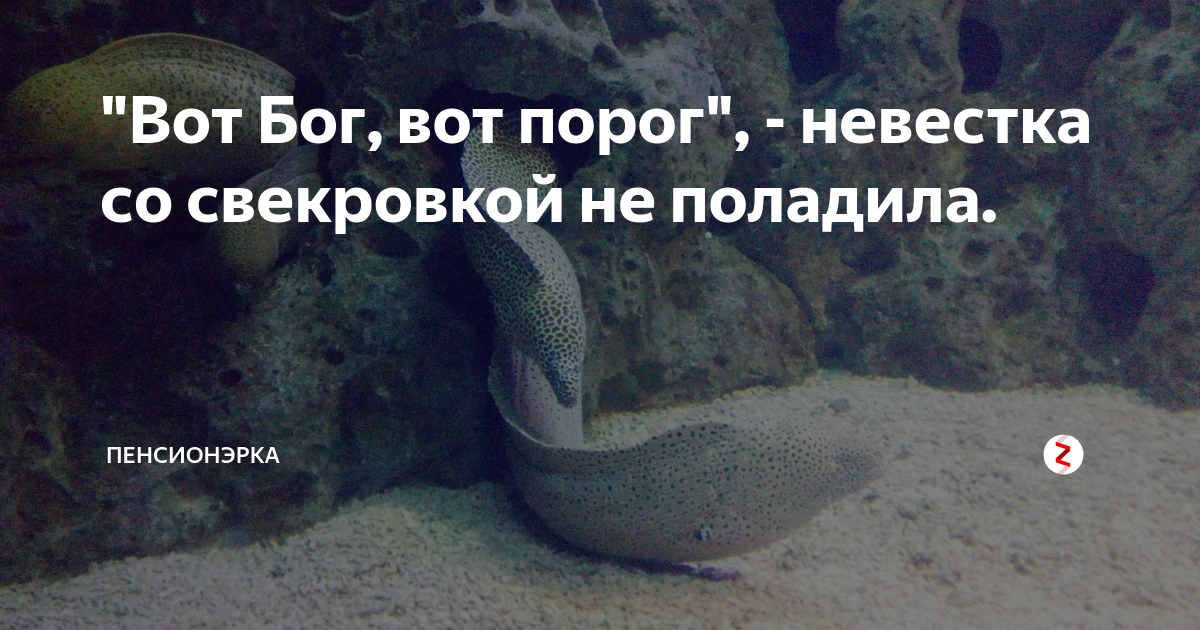 Поговорка вон порог. Вот бог а вот порог. Вот бог а вот порог. Вот бог а вот порог. Вот бог а вот порог.