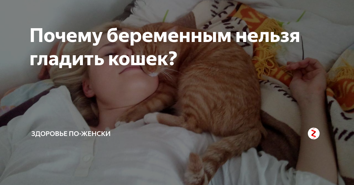 Мудрость форума: Беременна ли я?