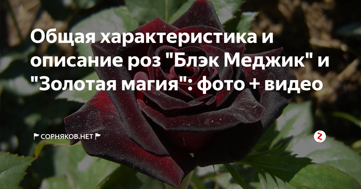 Неактивно