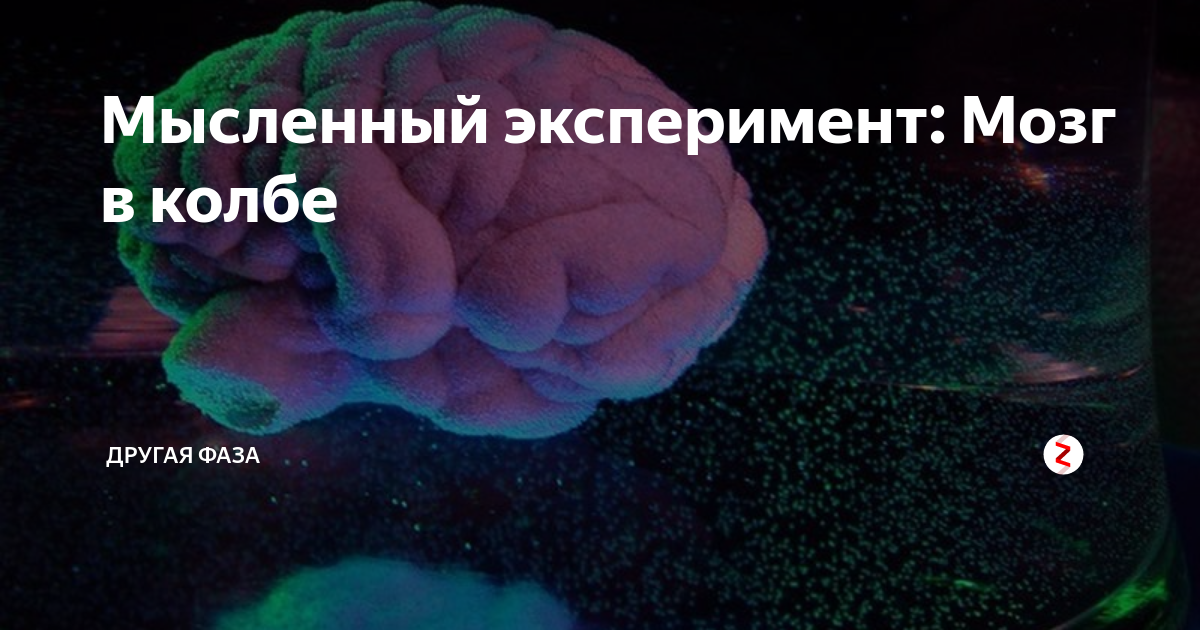 Мозг в колбе эксперимент. Мысленный эксперимент. Проведем мысленный эксперимент