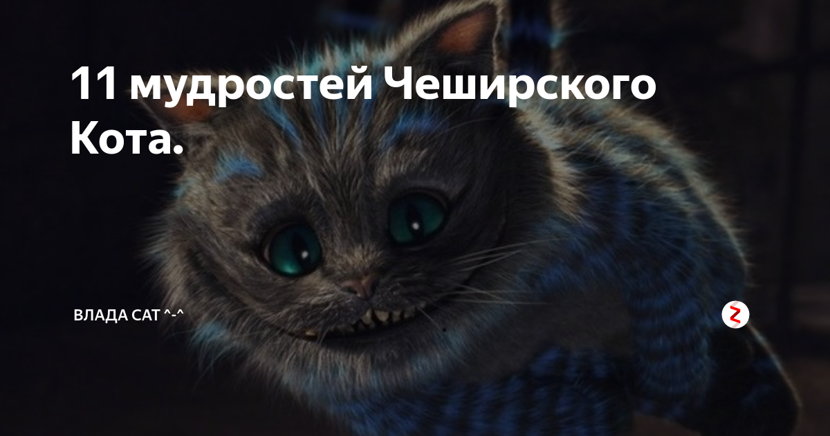 Диалог алисы и чеширского кота. Алиса в стране чудес чеширский кот. Чеширский кот куда идти. Афоризмы чеширского кота. Разговор алисы с чеширским котом.