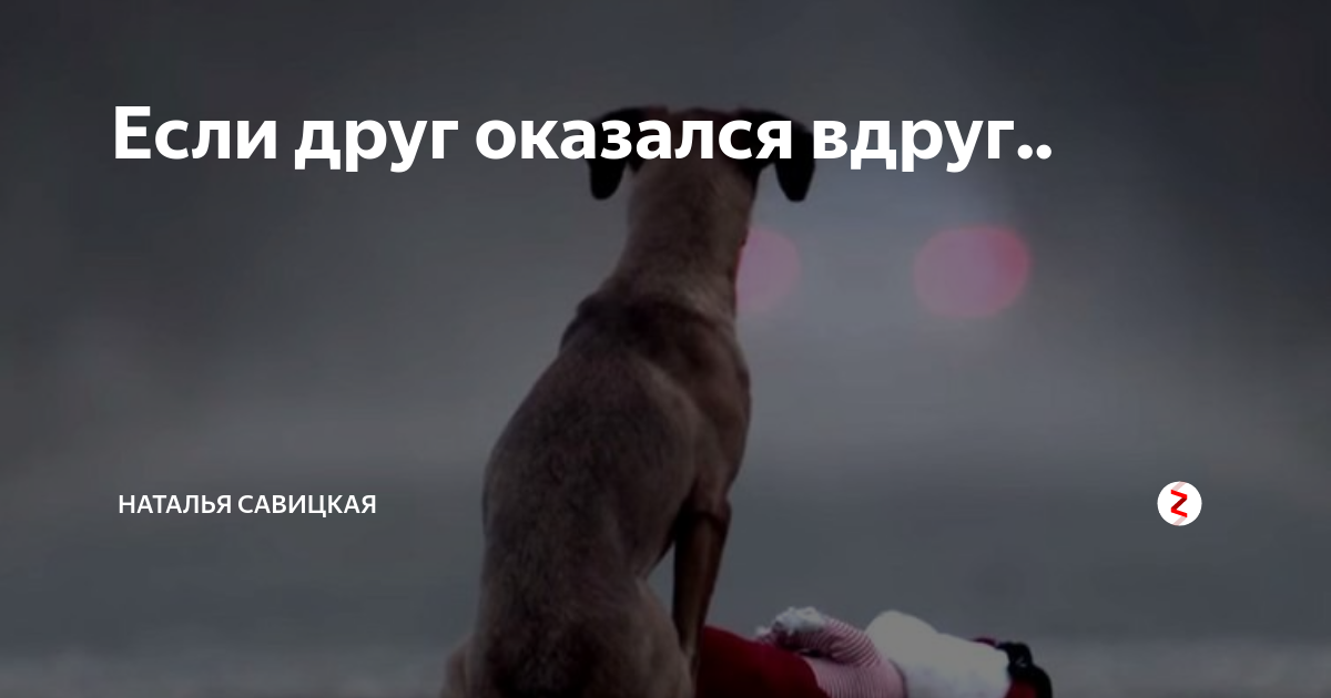Мой друг а вдруг мы просто. Если друг оказался вдруг и не друг. Если друг оказался не друг. Если друг оказался вдруг. Если друг оказался вдруг.