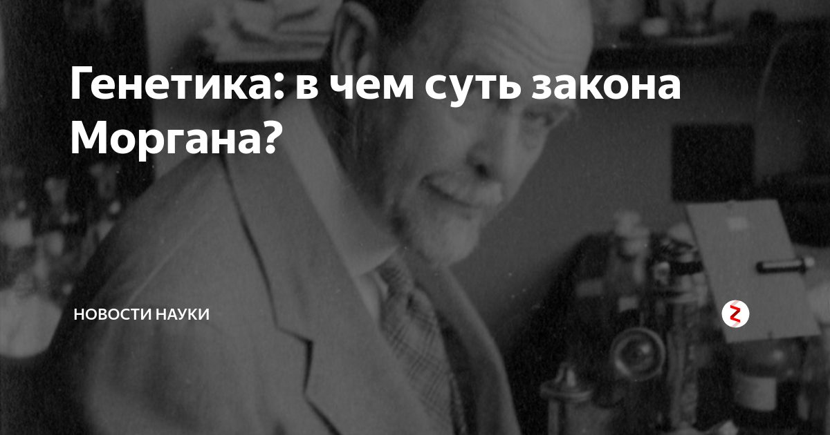 Генетика: в чем суть закона Моргана? | Генетика и медицина | Дзен