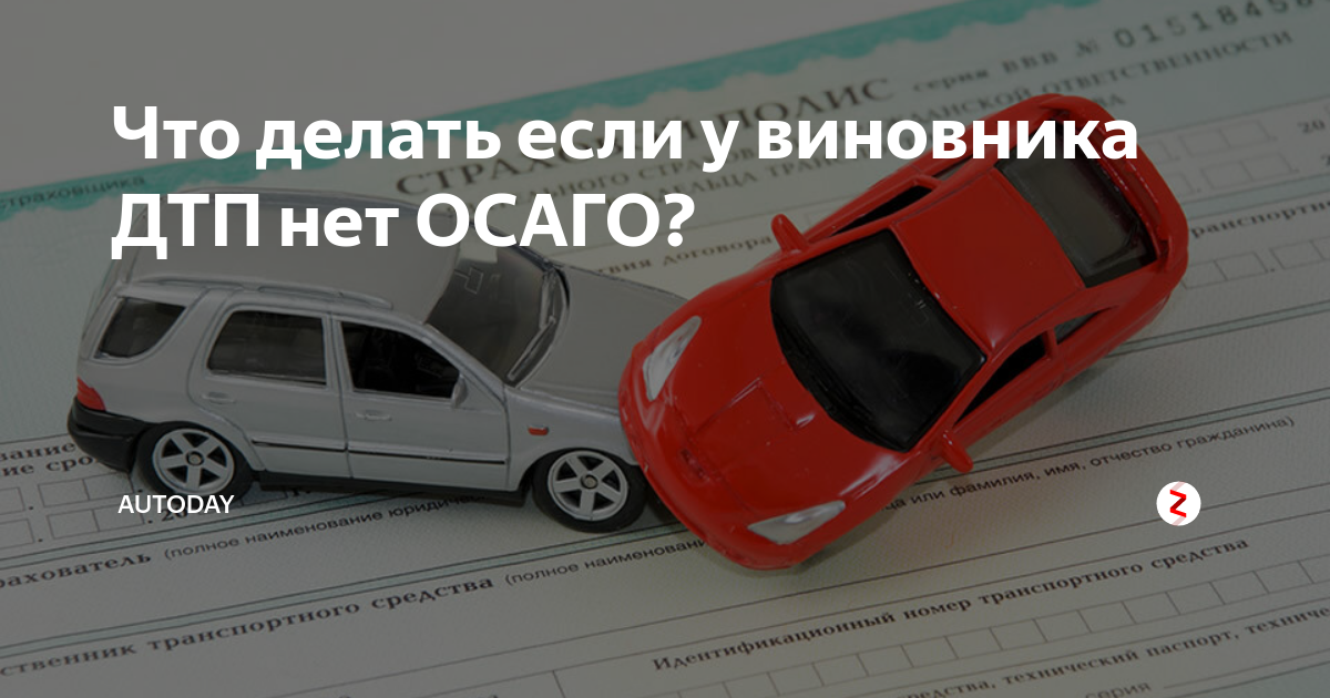 Если у потерпевшего нет полиса осаго. Если у виновника нет ОСАГО. ДТП без ОСАГО. Если у виновника ДТП нет ОСАГО. Виновник ДТП без ОСАГО.