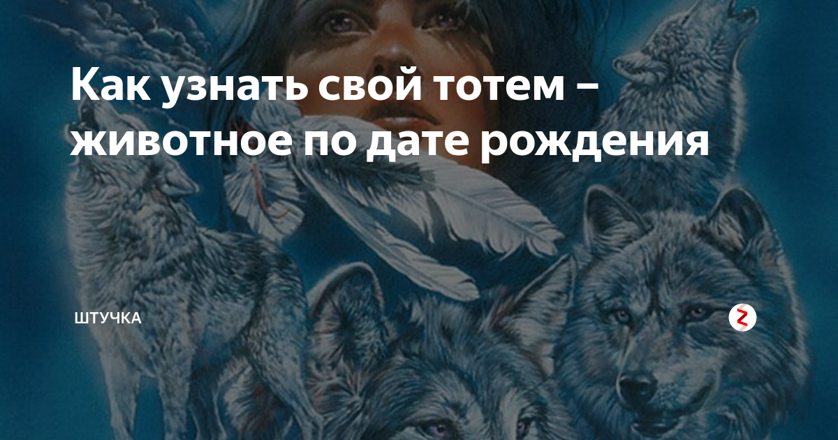 Как узнать свой тотем. Зверь хранитель по дате рождения. Животные Хранители по дате рождения. Тотемное животное по дате. Определи свой Тотем.