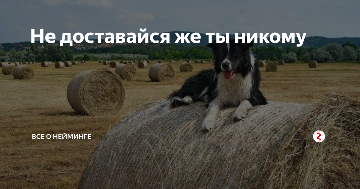 Не доставайся же ты никому. Так не доставайся же никому. Такне досьавася же тв никому. Так не доставайся же ты никому откуда. Так не доставайся же ты никому откуда.