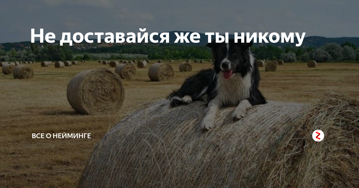 Так не доставайся же ты никому. Так не доставайся ты никому. Да не доставайся же ты никому. Да не достанься ты никому. Так не достанься же ты никому.