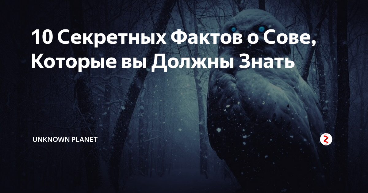 10 Секретных Фактов о Сове, Которые вы Должны Знать | UNKNOWN PLANET | Дзен