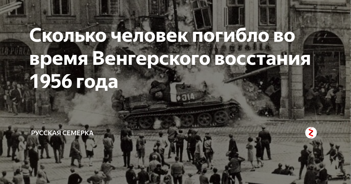 Венгерское время. Восстание в Венгрии 1956 линчевание. Венгерское восстание 1956 зверства. Зверства венгров 56 год.