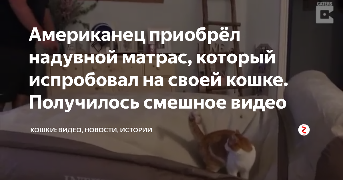 Надувной матрас и кошка