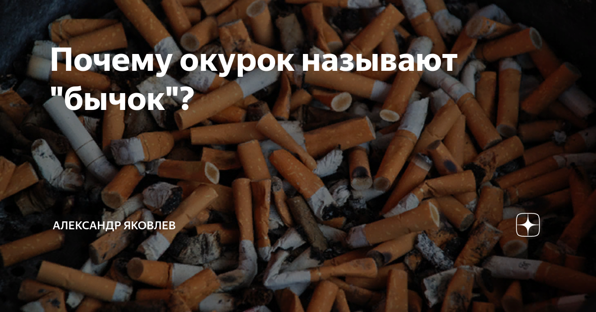 Почему бычки называют бычками