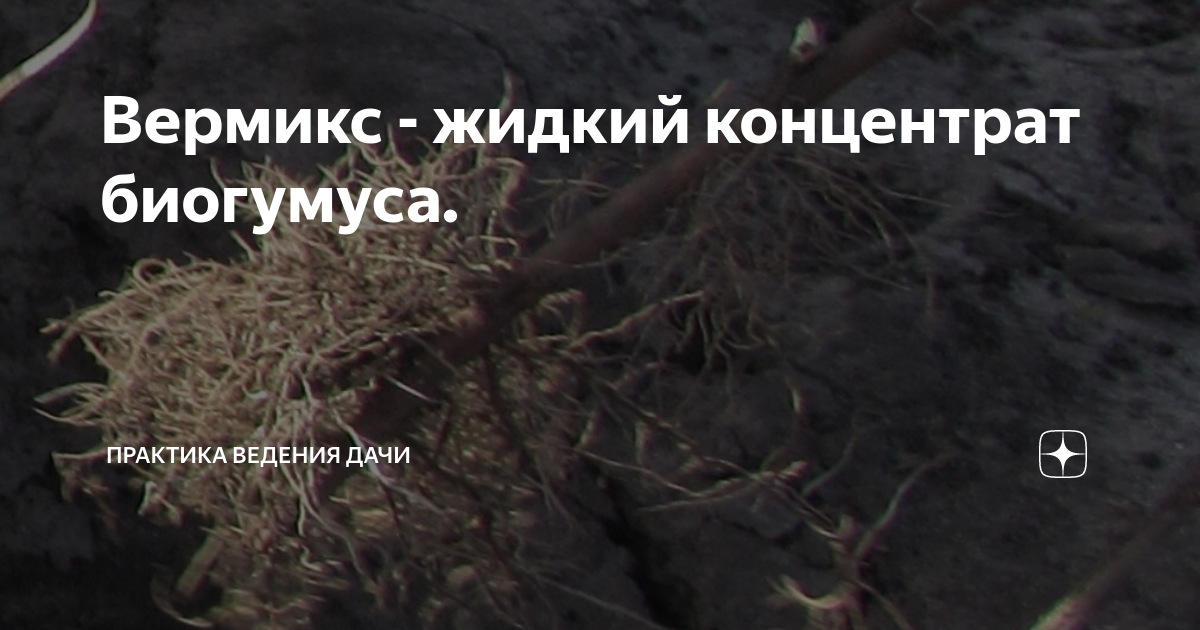 Вермикс - жидкий концентрат биогумуса. | Дача, сад и огород без ...