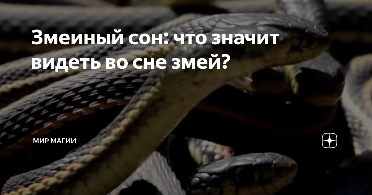 К чему снять змей
