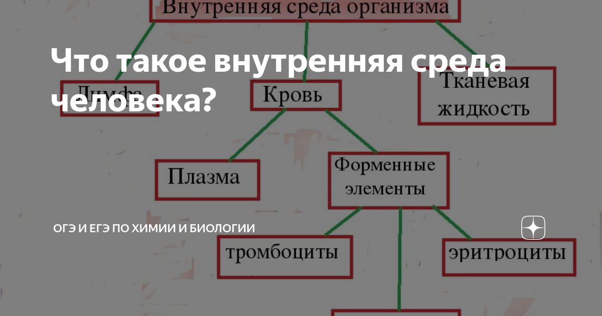 Внутренняя составляющая человека это