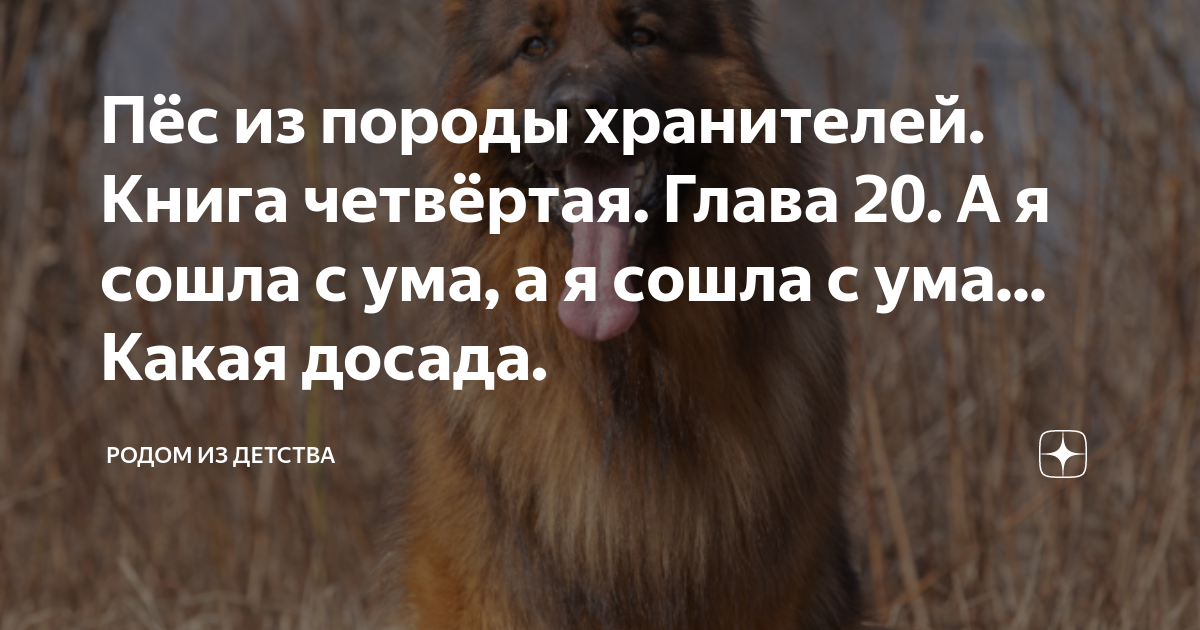 Пес из породы хранителей аудиокнига. Пес хранитель. Пес из породы хранителей глава 32. Пес из породы хранителей книга 8. Пёс из породы хранителей книга 7-1-2.