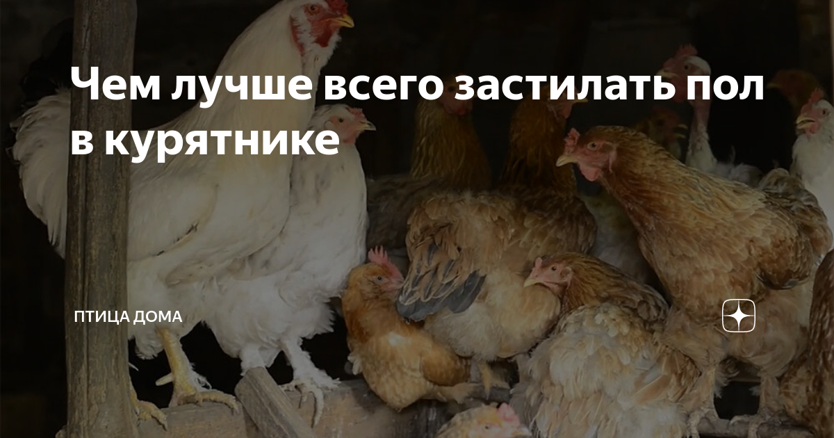 Что стелить утятам на пол