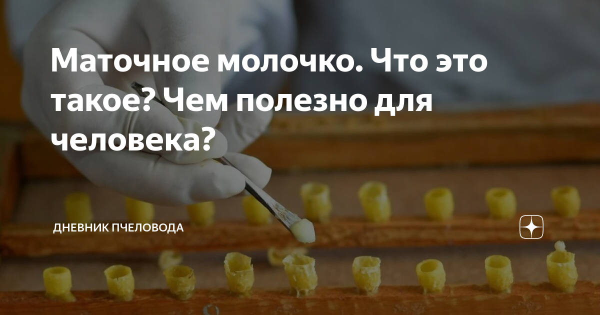 Маточное молочко. Что это такое? Чем полезно для человека? | Дневник ...