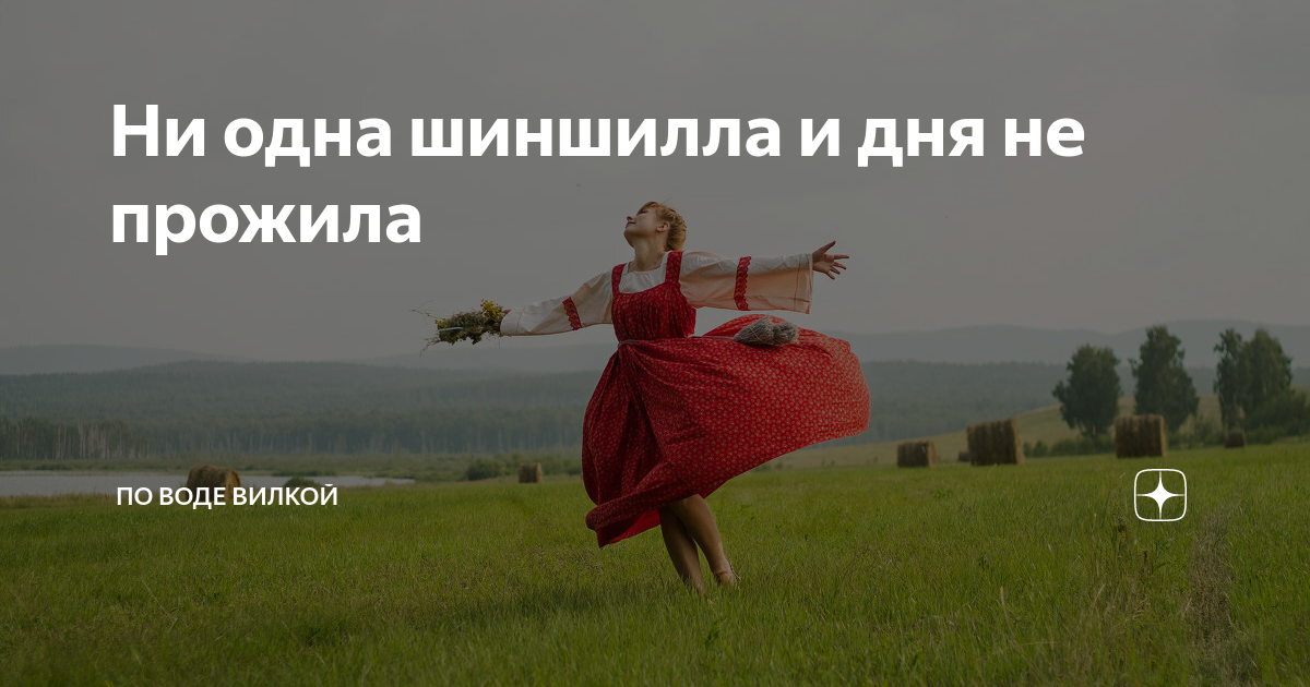 Доли червя мозжечка. Топография мозжечка анатомия. Узелок червя мозжечка. Строение мозжечка анатомия. На небе ни клочка лазури грамматическая основа.