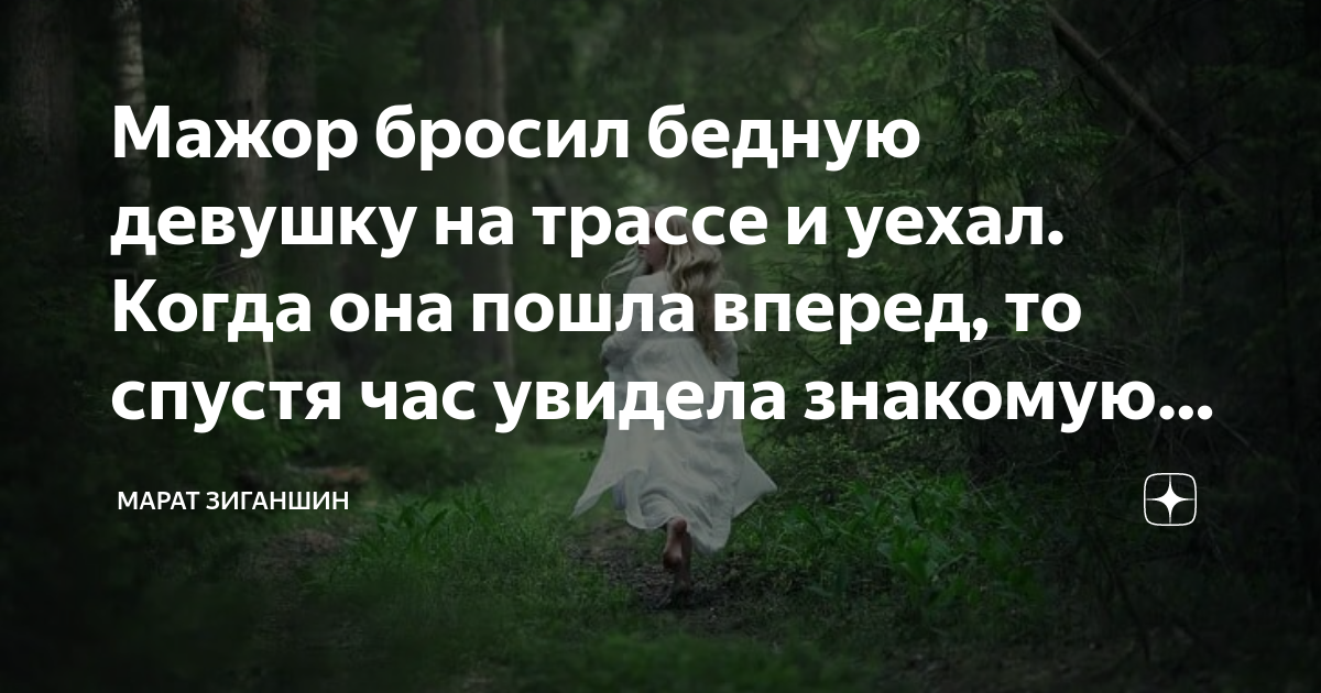 девушка мажора. мажор эмилия грин книга. мажор девочка. романы про студентов и любовь. игрушка мажора эвелин роуз.