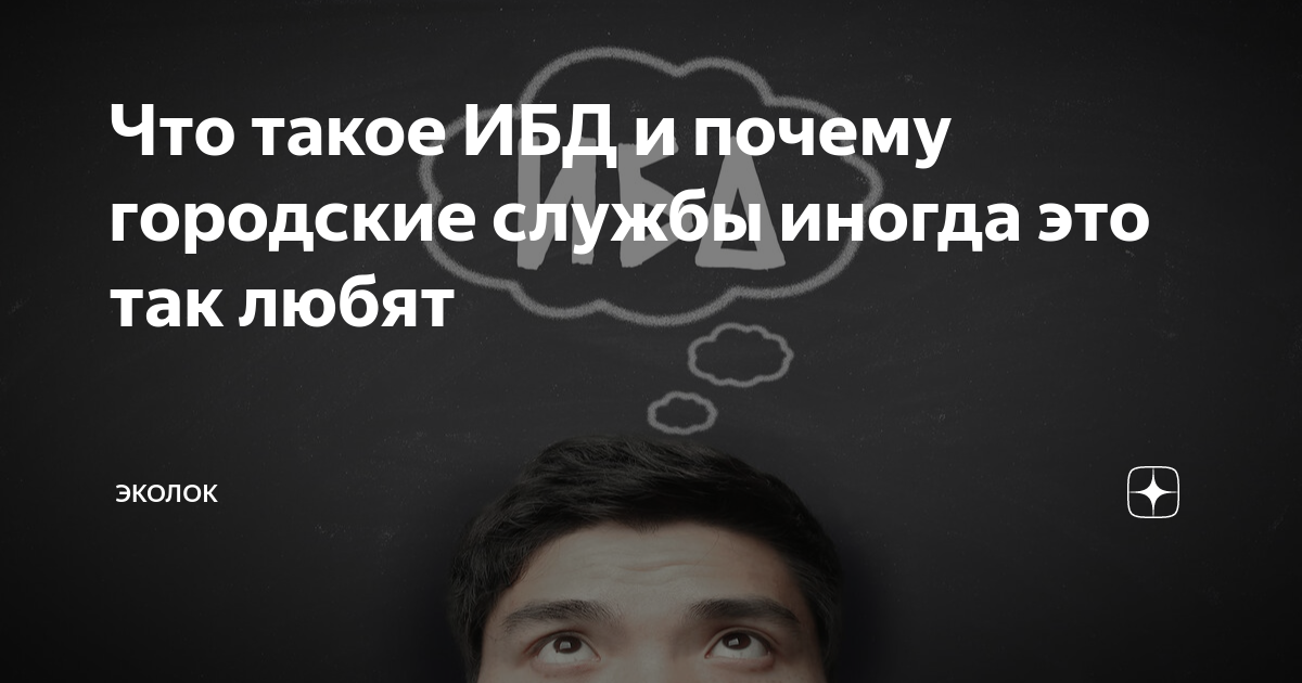 Что такое ИБД и почему городские службы иногда это так любят | ЭкоЛОК ...