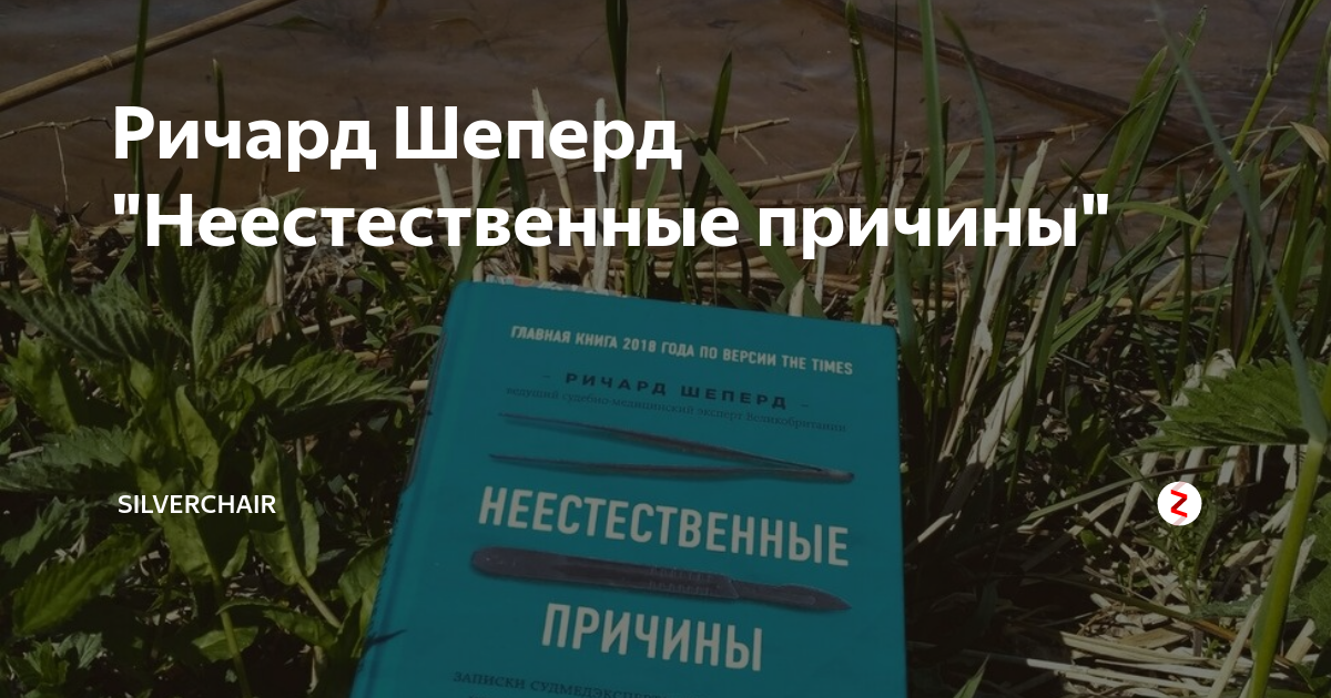 Ричард Шеперд "Неестественные причины" | SILVERCHAIR | Дзен