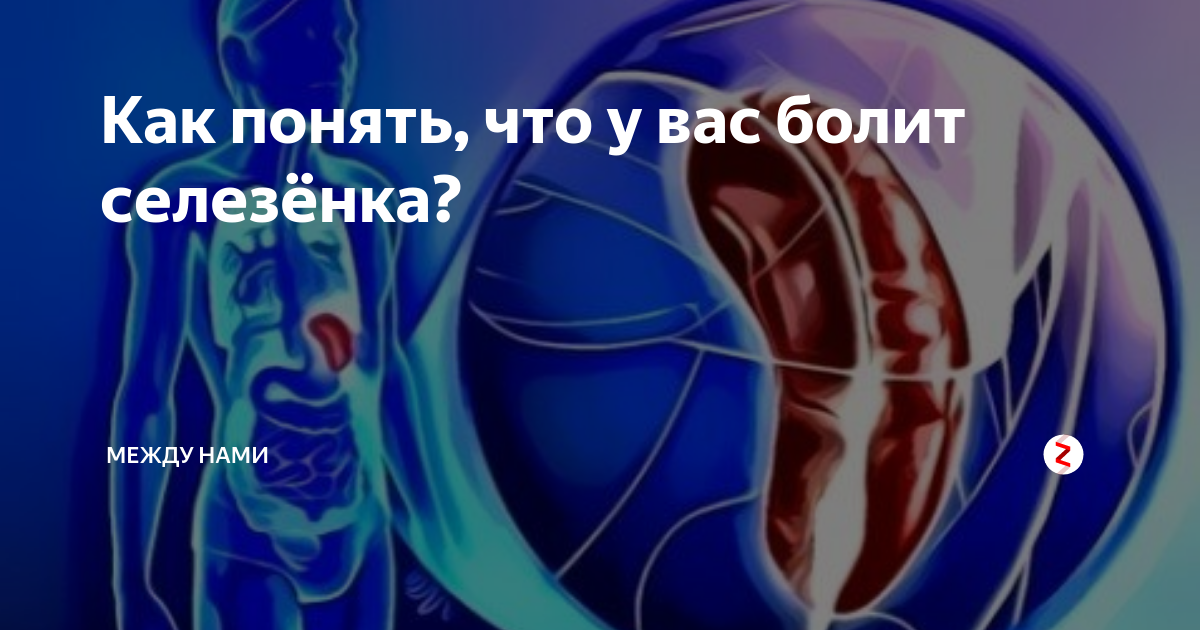 Селезенка человека болит. От чего может болеть селезенка.
