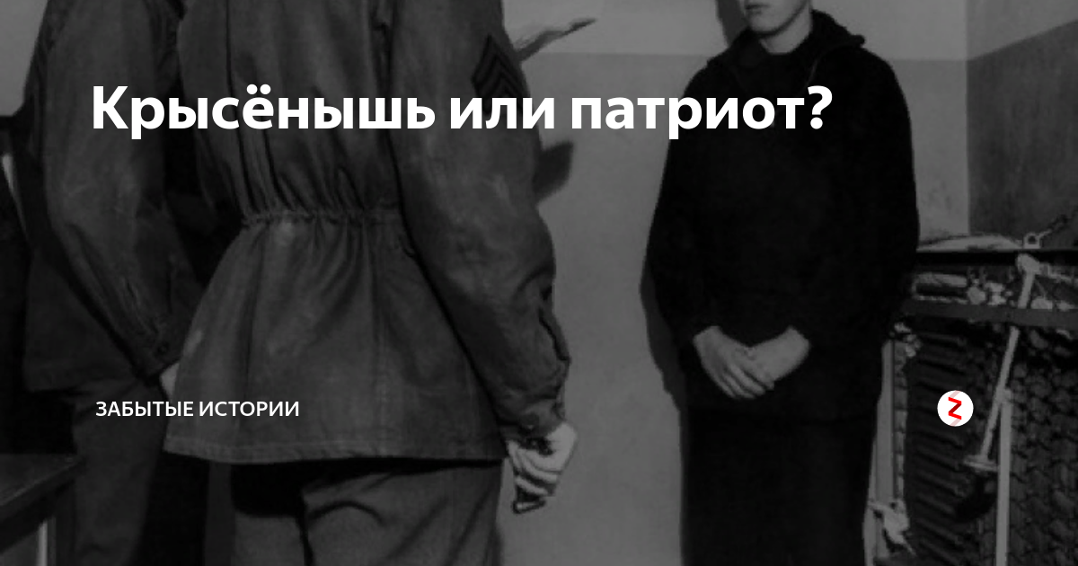 Крысёнышь или патриот? | Истории от историка | Дзен