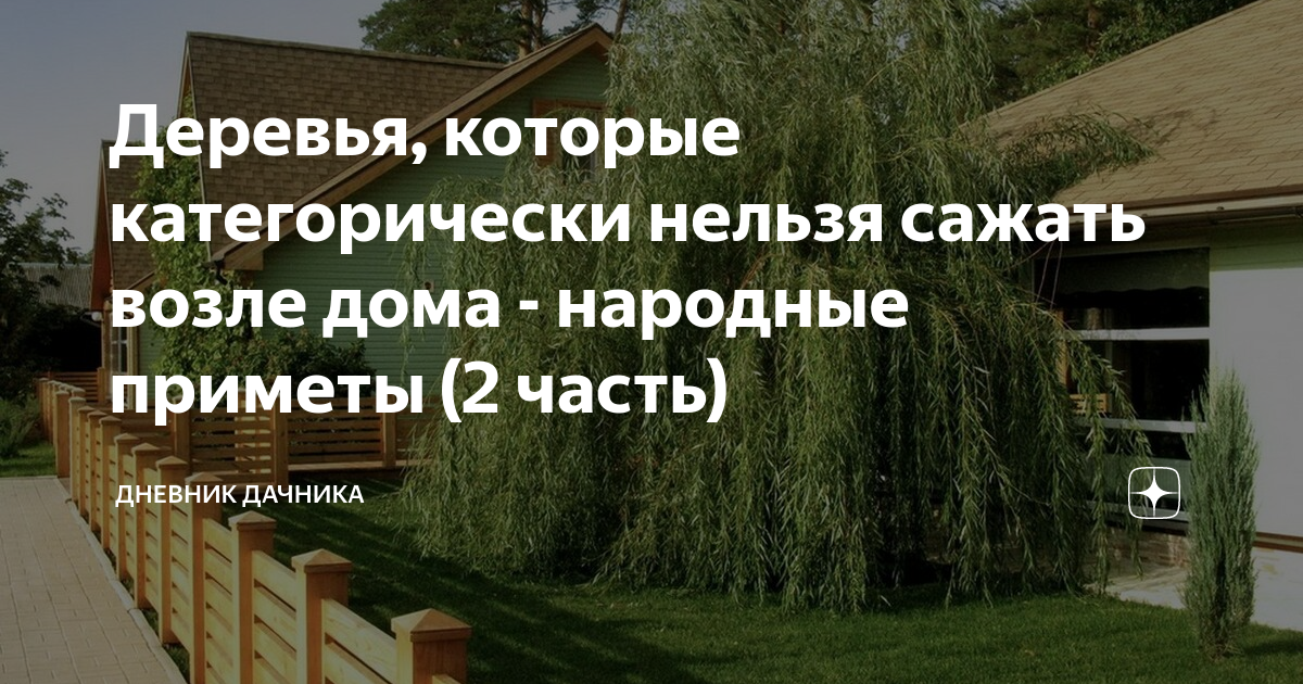 Приметы деревья. Какие деревья нельзя сажать возле дома. Деревья на участке приметы. Деревья, которые нельзя сажать рядом. Какие деревья нельзя сажать дома