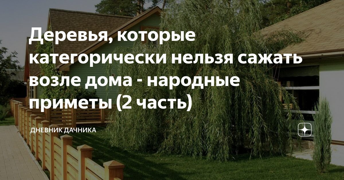 Приметы деревьев. Какие деревья нельзя сажать возле дома. Деревья на участке приметы. Деревья, которые нельзя сажать рядом. Какие деревья нельзя сажать дома.