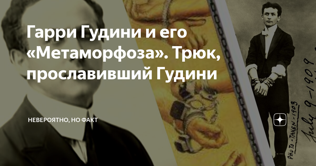 Цитаты Гарри Гудини. Гудини исчезновение слона. Метаморфоза фокус Гудини. Гудини Мем.