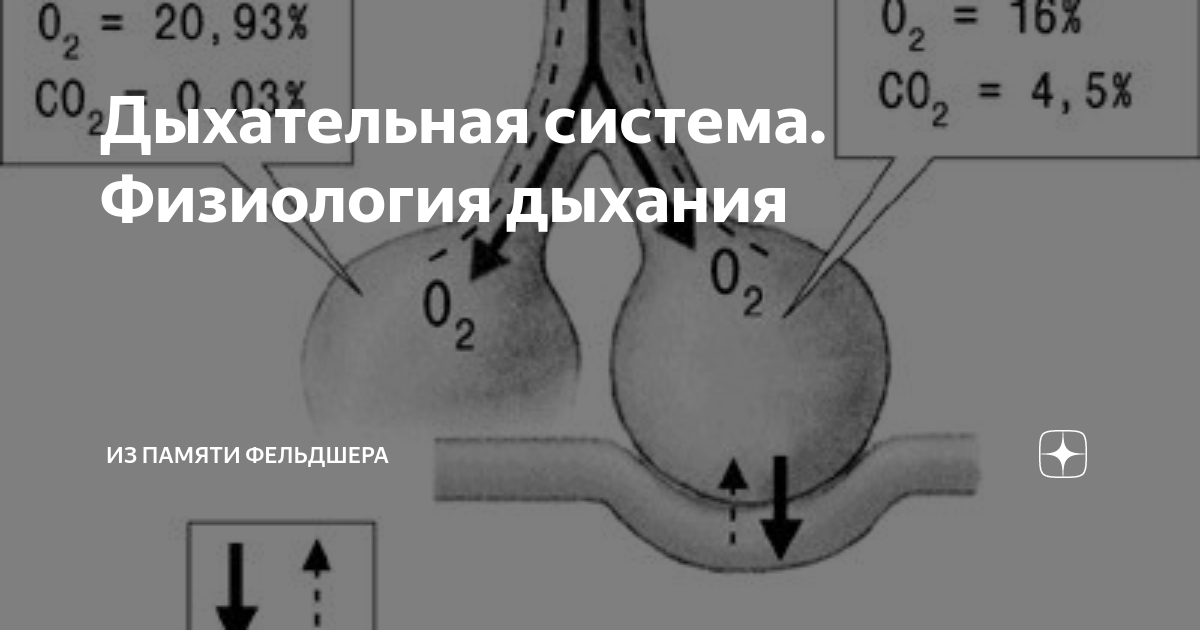 АДЕКВАТНАЯ ФИЗИЧЕСКАЯ АКТИВНОСТЬ. ГИПОДИНАМИЯ, КАК ФАКТОР РАЗВИТИЯ БОЛЕЗНЕЙ.