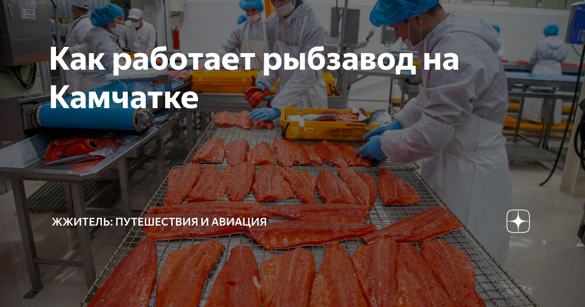 Рыбзавод витязь авто