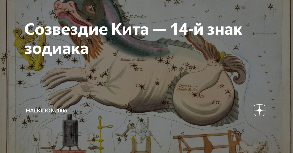 Кит гороскоп. 14 Знаков зодиака кит. 14 Знаков зодиака кит и Змееносец. Знак зодиака кит и Змееносец.