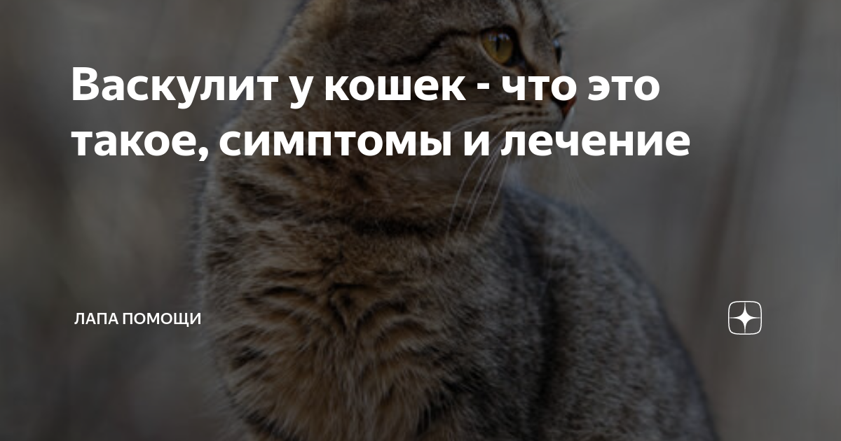 Неправильное питание