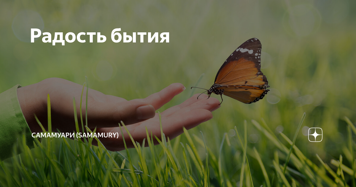 Счастье бытия картинки