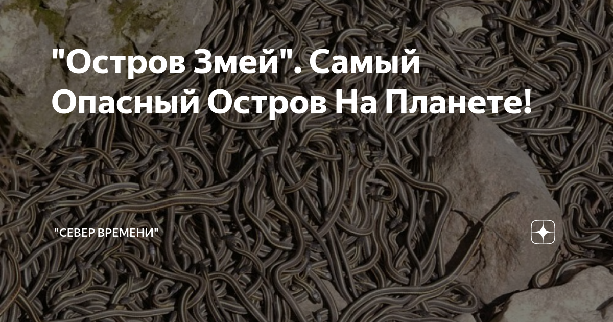 Кому принадлежит змеиный. Остров змей. Остров змеиный на карте. Остров змей на карте. Остров змеиный на карте Украины.