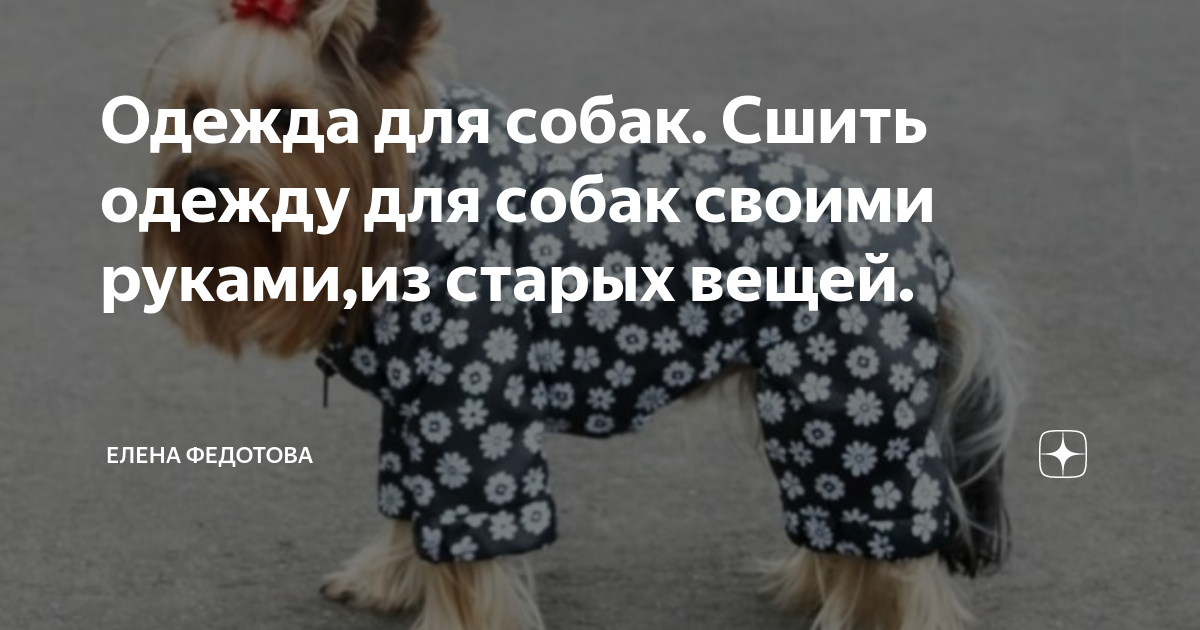 Модная одежда для собак своими руками