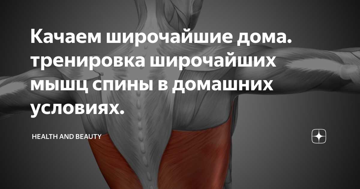 Упражнения для укрепления мышц брюшного пресса. Мышцы работающие при беге. Упражнение ласточка. Как выполнить планку на локтях. Планка группы мышц.