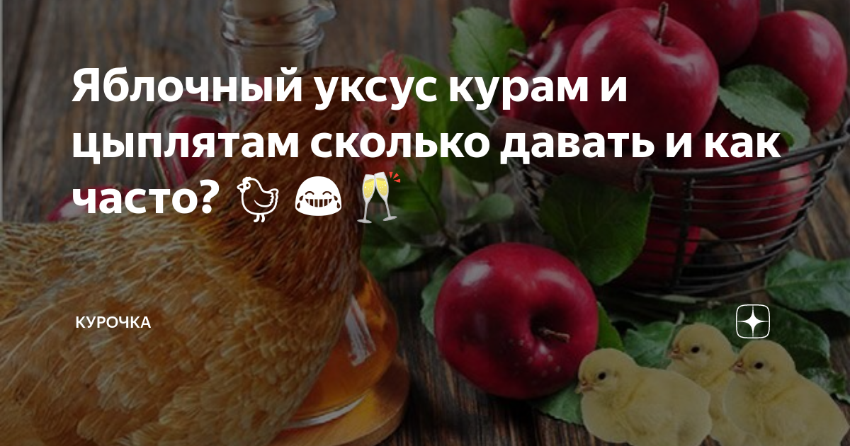 Уксус давать курам