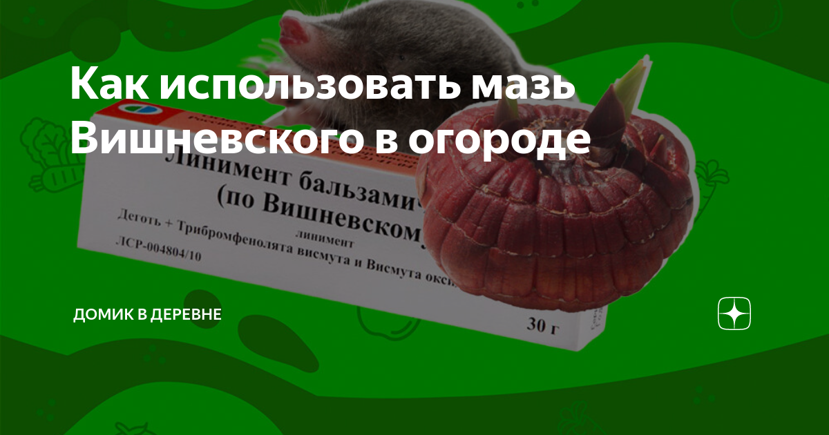 Мазь Вишневского