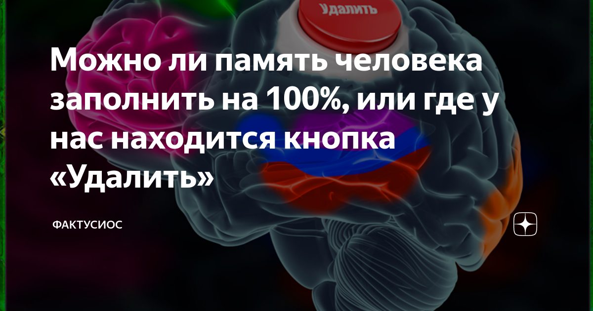 емкость памяти мозга человека. память человека в гб. объем памяти мозга. нейроны в голове. клетка человеческого мозга.