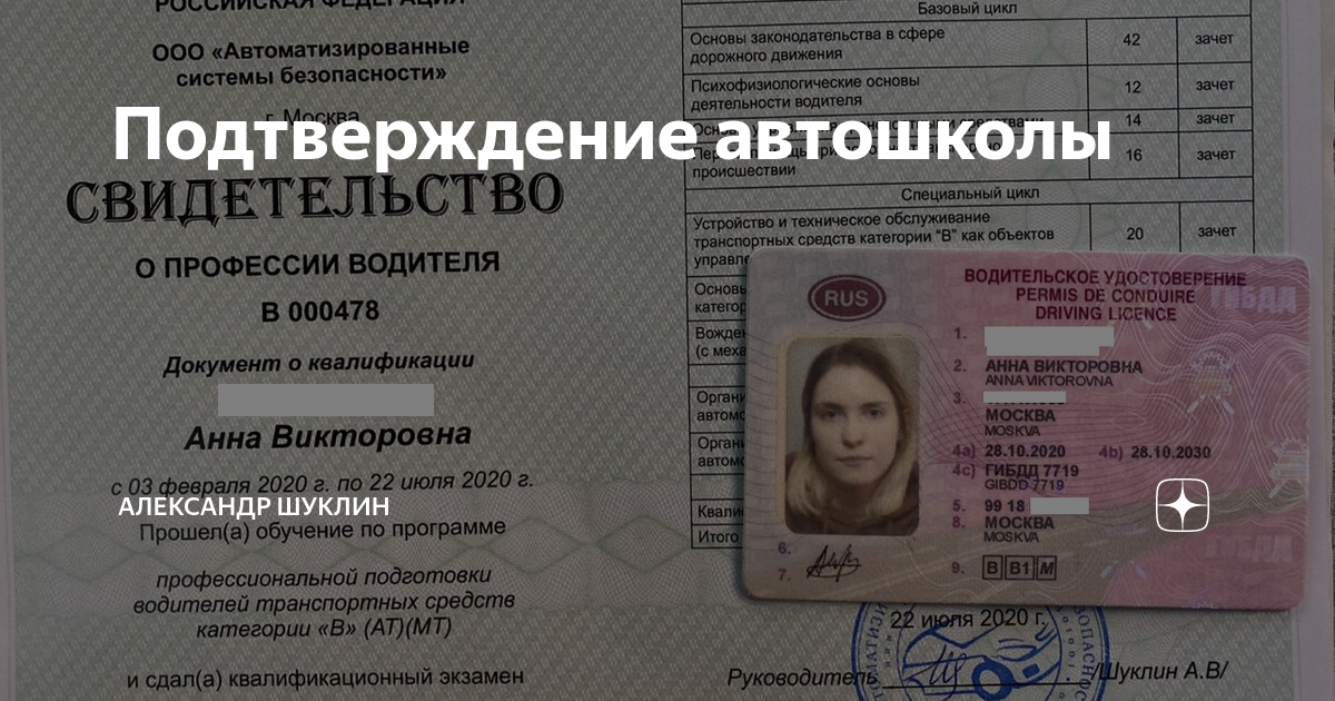 Подтверждение автошколы | Александр Шуклин | Дзен